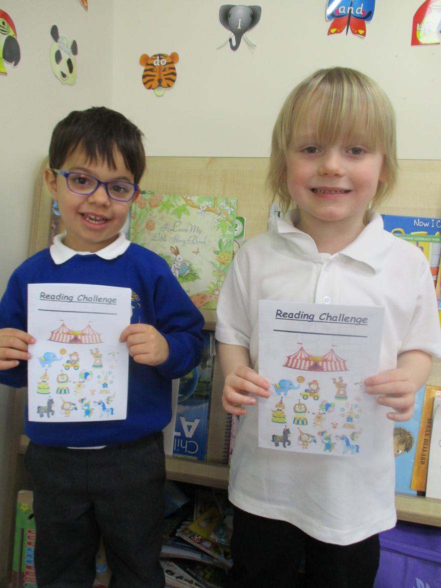 IMG 0241